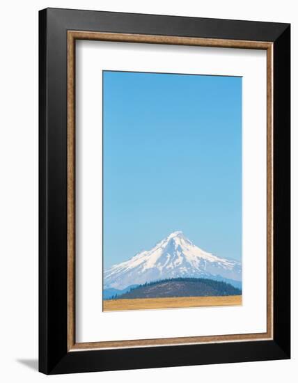 Central Oregon's High Desert with Mount Hood, part of the Cascade Range, Pacific Northwest region, -Martin Child-Framed Photographic Print