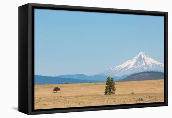 Central Oregon's High Desert with Mount Hood, part of the Cascade Range, Pacific Northwest region,-Martin Child-Framed Premier Image Canvas