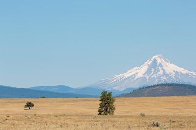 Central Oregons High Desert with Mount Hood, part of the 