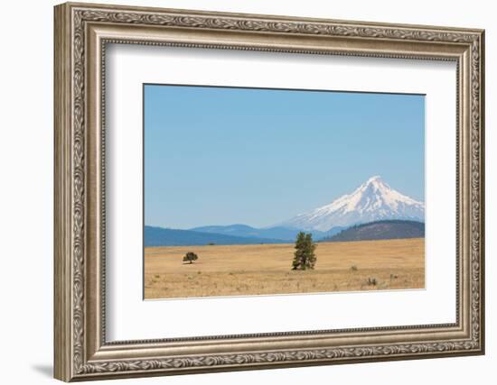 Central Oregon's High Desert with Mount Hood, part of the Cascade Range, Pacific Northwest region,-Martin Child-Framed Photographic Print