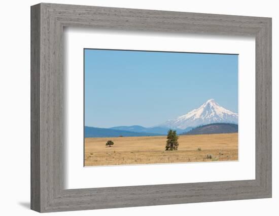 Central Oregon's High Desert with Mount Hood, part of the Cascade Range, Pacific Northwest region,-Martin Child-Framed Photographic Print