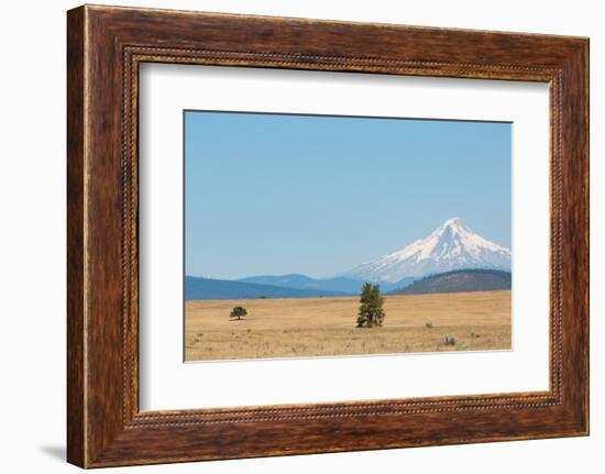 Central Oregon's High Desert with Mount Hood, part of the Cascade Range, Pacific Northwest region,-Martin Child-Framed Photographic Print