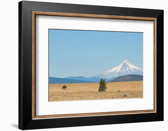 Central Oregon's High Desert with Mount Hood, part of the Cascade Range, Pacific Northwest region,-Martin Child-Framed Photographic Print