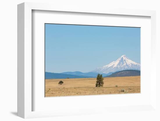 Central Oregon's High Desert with Mount Hood, part of the Cascade Range, Pacific Northwest region,-Martin Child-Framed Photographic Print