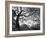 Central Park #1, New York, New York 05-Monte Nagler-Framed Photographic Print