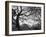 Central Park #1, New York, New York 05-Monte Nagler-Framed Photographic Print