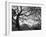 Central Park #1, New York, New York 05-Monte Nagler-Framed Photographic Print