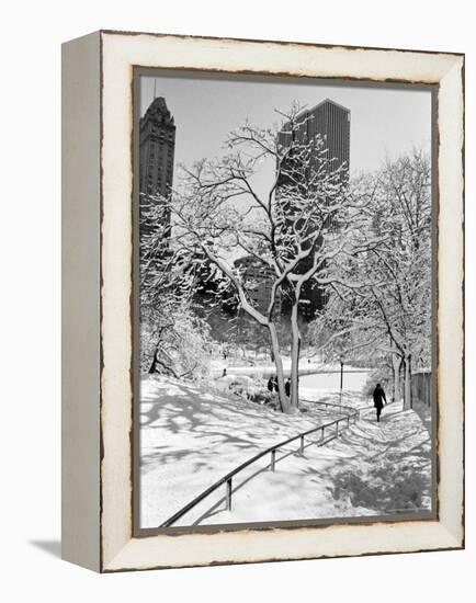 Central Park After a Snowstorm-Alfred Eisenstaedt-Framed Premier Image Canvas