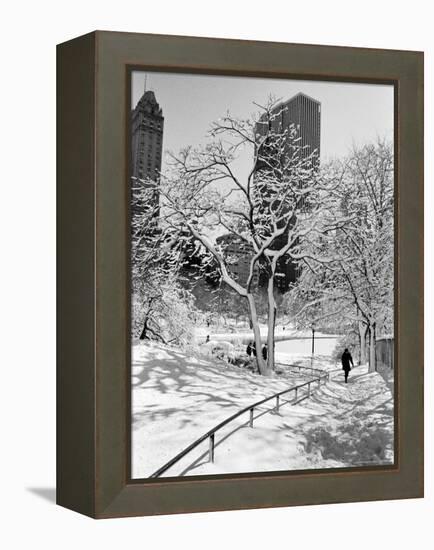 Central Park After a Snowstorm-Alfred Eisenstaedt-Framed Premier Image Canvas