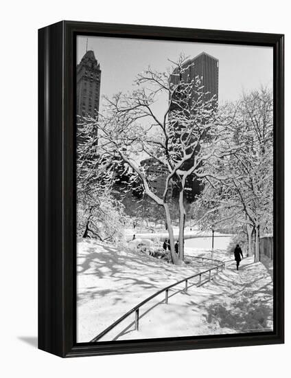 Central Park After a Snowstorm-Alfred Eisenstaedt-Framed Premier Image Canvas