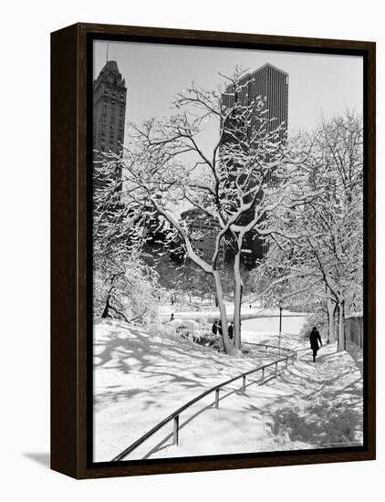 Central Park After a Snowstorm-Alfred Eisenstaedt-Framed Premier Image Canvas