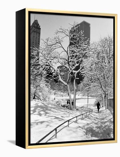 Central Park After a Snowstorm-Alfred Eisenstaedt-Framed Premier Image Canvas