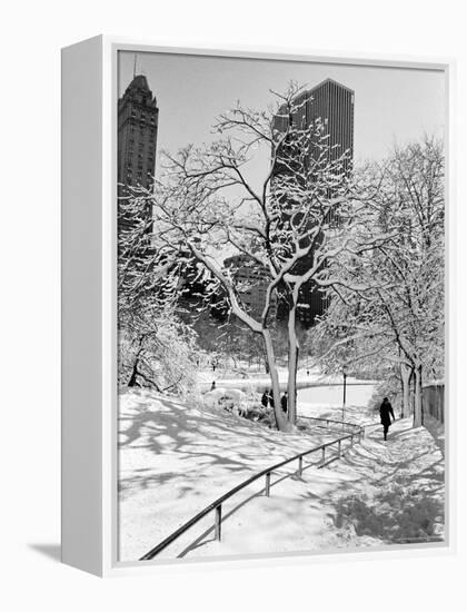 Central Park After a Snowstorm-Alfred Eisenstaedt-Framed Premier Image Canvas