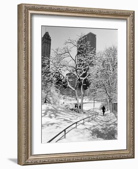 Central Park After a Snowstorm-Alfred Eisenstaedt-Framed Premium Photographic Print