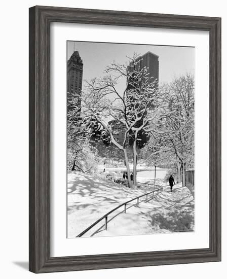 Central Park After a Snowstorm-Alfred Eisenstaedt-Framed Premium Photographic Print