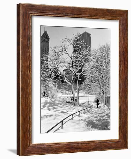 Central Park After a Snowstorm-Alfred Eisenstaedt-Framed Premium Photographic Print