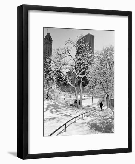 Central Park After a Snowstorm-Alfred Eisenstaedt-Framed Premium Photographic Print