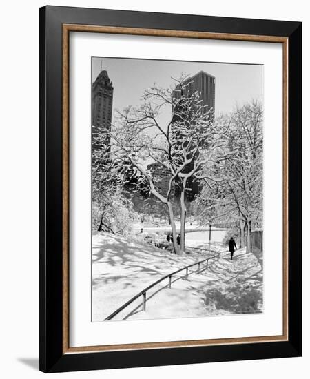 Central Park After a Snowstorm-Alfred Eisenstaedt-Framed Premium Photographic Print