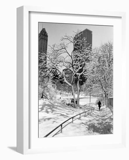 Central Park After a Snowstorm-Alfred Eisenstaedt-Framed Premium Photographic Print