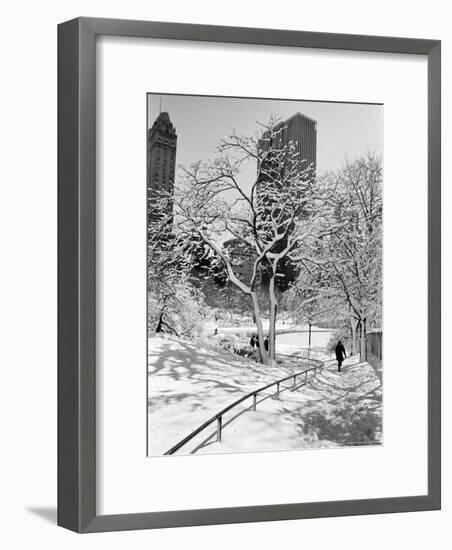 Central Park After a Snowstorm-Alfred Eisenstaedt-Framed Premium Photographic Print