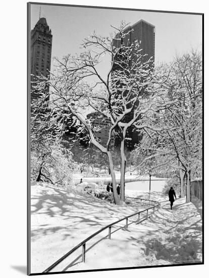 Central Park After a Snowstorm-Alfred Eisenstaedt-Mounted Premium Photographic Print