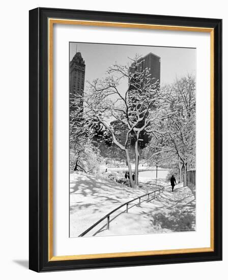 Central Park After a Snowstorm-Alfred Eisenstaedt-Framed Premium Photographic Print