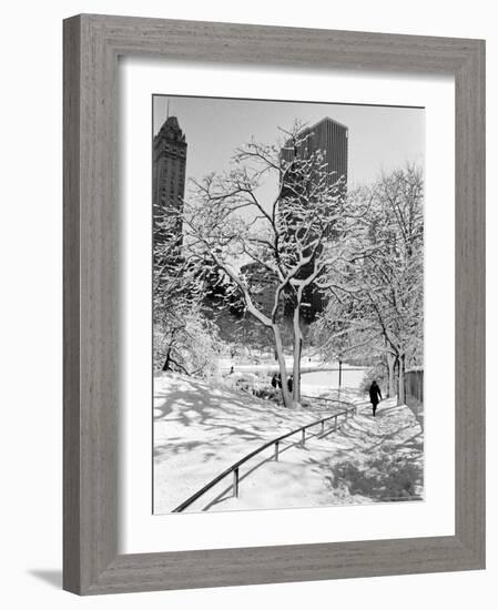 Central Park After a Snowstorm-Alfred Eisenstaedt-Framed Photographic Print