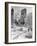 Central Park After a Snowstorm-Alfred Eisenstaedt-Framed Photographic Print