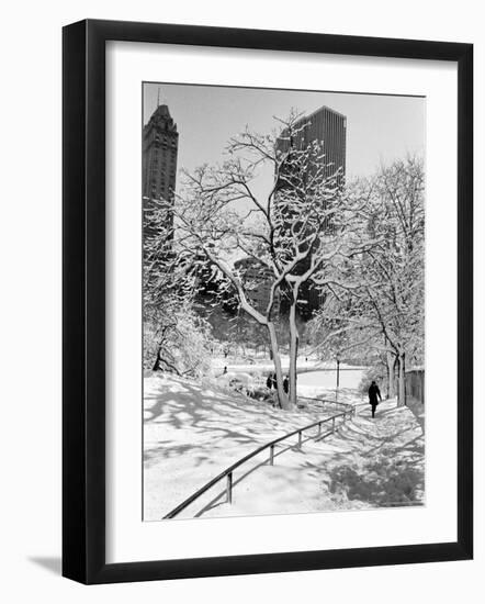 Central Park After a Snowstorm-Alfred Eisenstaedt-Framed Photographic Print