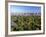 Central Park and Manhattan Buildings-Rudy Sulgan-Framed Photographic Print