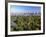 Central Park and Manhattan Buildings-Rudy Sulgan-Framed Photographic Print