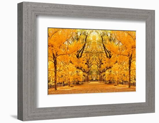 Central Park Autumn in Midtown Manhattan New York City-Songquan Deng-Framed Photographic Print