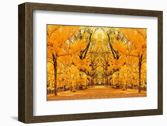 Central Park Autumn in Midtown Manhattan New York City-Songquan Deng-Framed Photographic Print