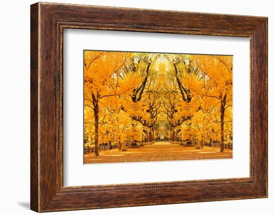 Central Park Autumn in Midtown Manhattan New York City-Songquan Deng-Framed Photographic Print