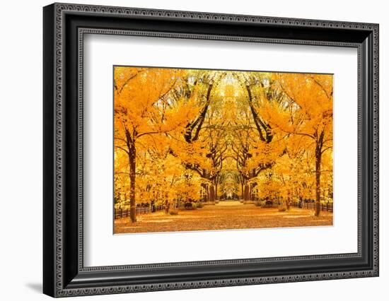 Central Park Autumn in Midtown Manhattan New York City-Songquan Deng-Framed Photographic Print