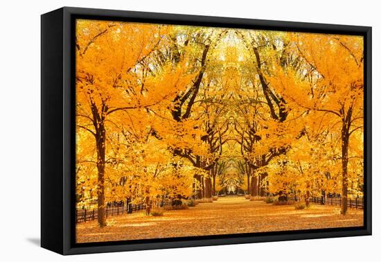 Central Park Autumn in Midtown Manhattan New York City-Songquan Deng-Framed Premier Image Canvas