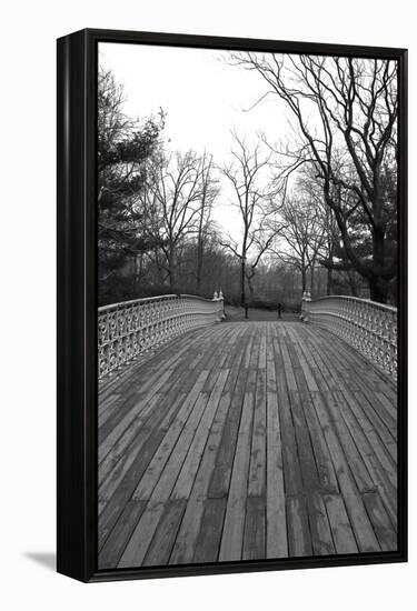 Central Park Bridge 4-Jeff Pica-Framed Premier Image Canvas