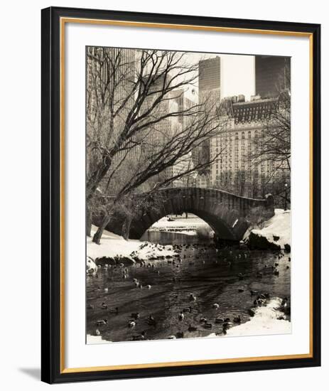 Central Park Bridges 4-Chris Bliss-Framed Art Print