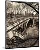 Central Park Bridges III-Christopher Bliss-Mounted Giclee Print