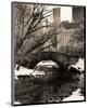 Central Park Bridges IV-Christopher Bliss-Mounted Giclee Print