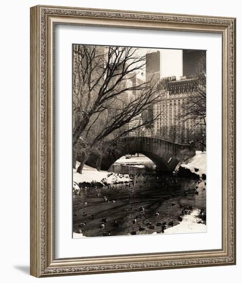 Central Park Bridges IV-Christopher Bliss-Framed Giclee Print