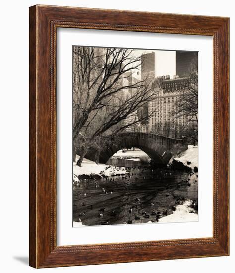 Central Park Bridges IV-Christopher Bliss-Framed Giclee Print