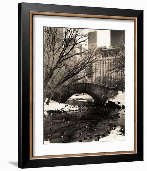 Central Park Bridges IV-Christopher Bliss-Framed Giclee Print