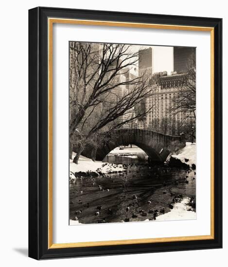 Central Park Bridges IV-Christopher Bliss-Framed Giclee Print