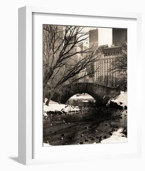 Central Park Bridges IV-Christopher Bliss-Framed Giclee Print