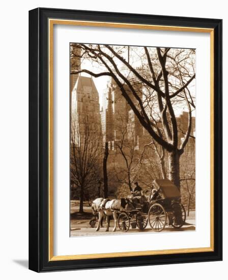 Central Park Carriage-Igor Maloratsky-Framed Art Print