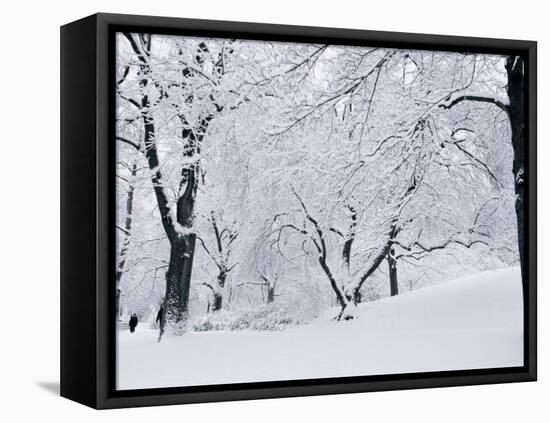 Central Park Covered in Snow, NYC-Shmuel Thaler-Framed Premier Image Canvas