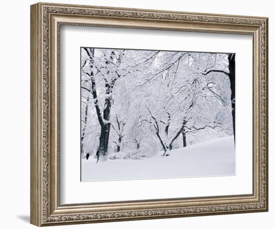 Central Park Covered in Snow, NYC-Shmuel Thaler-Framed Photographic Print