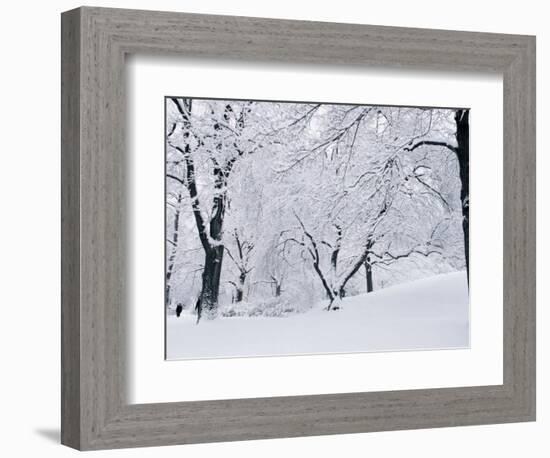 Central Park Covered in Snow, NYC-Shmuel Thaler-Framed Photographic Print