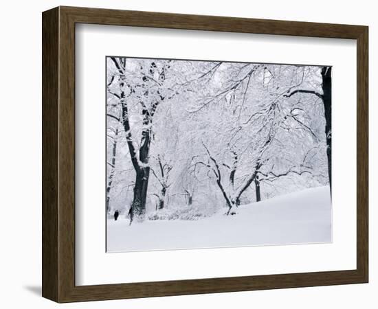 Central Park Covered in Snow, NYC-Shmuel Thaler-Framed Photographic Print